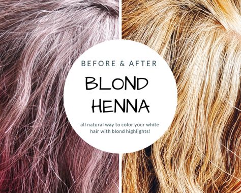 Blonde Henna Hair Recipe To Cover Grays | Organic Beauty Recipes Blonde Henna, Henna Recipe, Lighten Hair Naturally, Henna Hair Color, Henna Color, Covering Gray Hair, Dyed Blonde Hair, Henna Hair, Natural Gray Hair