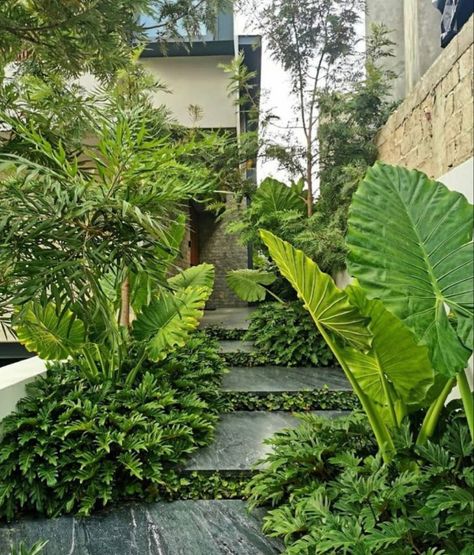 Terrace Landscape, Tropical Backyard Landscaping, Dream Garden Backyards, Front Lawn Landscaping, River Rock Garden, Garden Magic, Tropical Garden Design, Tropical Backyard, Plants Ideas