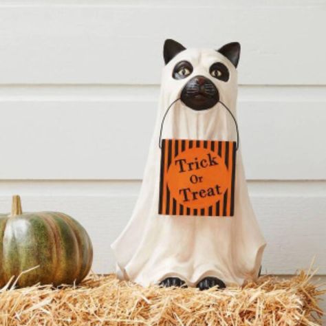 PRICES MAY VARY. 【Adorable Pet-Themed Design】 This Halloween decoration features an endearing ghost dog holding a pumpkin bowl, combining the spooky spirit of Halloween with a cute pet theme. The charming design is sure to delight both kids and adults, making it a perfect addition to your holiday décor. It brings a playful and festive ambiance to any space, appealing to pet lovers and Halloween enthusiasts alike. 【High-Quality Resin Craftsmanship】 Crafted from durable resin, this decoration offe Front Doorstep, Dog Candy, Pumpkin Bowl, Halloween Puppy, Pumpkin Bowls, Pumpkin Festival, Cat Candy, Halloween Ghost Decorations, Giant Pumpkin