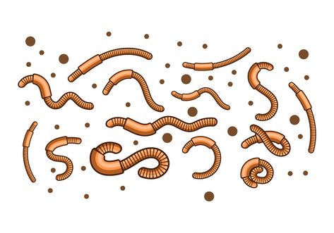 Earth Worm Illustration Vector. Choose from thousands of free vectors, clip art designs, icons, and illustrations created by artists worldwide! Worm Illustration, Worm Drawing, Earth Worm, Farm Vector, Sketchbook Challenge, Artsy Illustration, Bear Vector, Bug Collection, Background Powerpoint