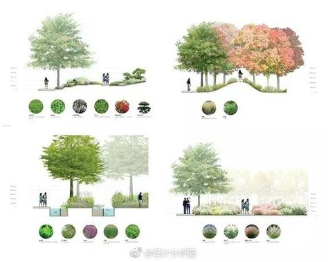 Architecture Sections, Landscape Diagram, Strategic Design, Landscape Architecture Graphics, Landscape Gardening, Landscape Architecture Drawing, Easy Landscaping, Gardening Books, Architecture Graphics