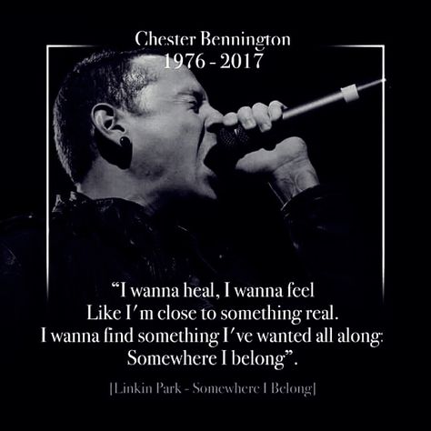 Chester Bennington Quotes, Linkin Park Merch, Somewhere I Belong, Chester Rip, Park Quotes, Linking Park, Great Song Lyrics, Linkin Park Chester, Mike Shinoda