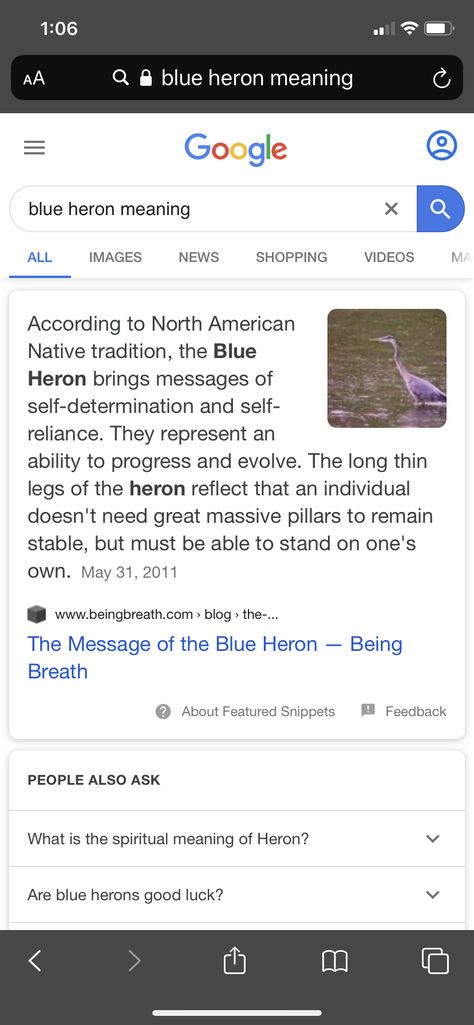 Blue heron meaning for tattoo