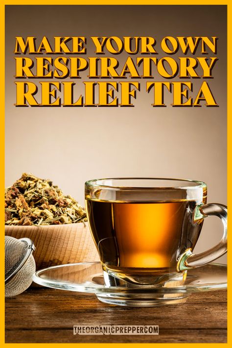 Make Your Own Respiratory Relief Tea - The Organic Prepper Respiratory Tea Recipes, Tea For Bronchitis, Herbal Tea For Colds Cough Remedies, Tea For Colds Remedies, Cold Remedy Tea, Herb Teas, Healing Tea Recipes, Tea For Cough, Home Remedies For Bronchitis