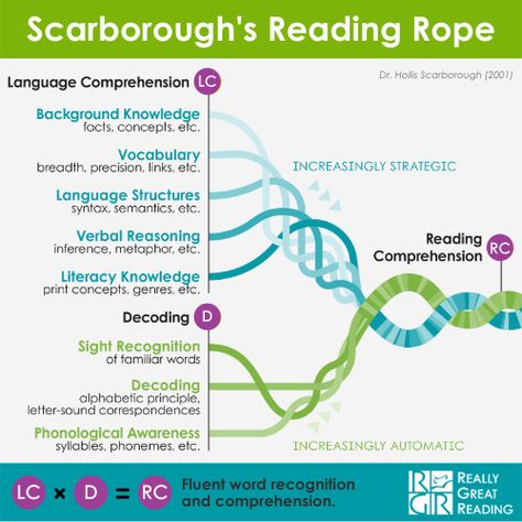 Scarborough's Reading Rope | Really Great Reading Read 180, Structured Literacy, The Science Of Reading, Reading Assessment, Literacy Coaching, Reading Specialist, Science Of Reading, Learning To Read, Word Recognition