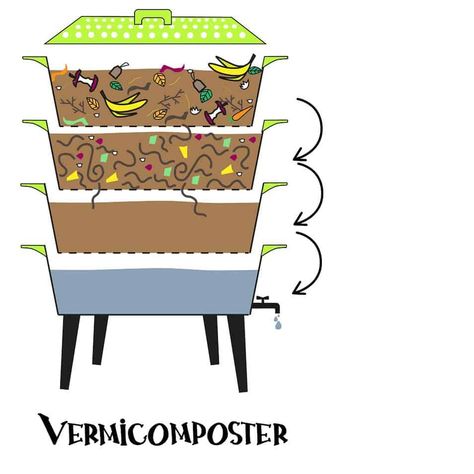 If you want to turn your food scraps into fertile compost in record time, then you need to start a worm bin. Worm Farm Diy, Worm Composting Bin, Red Wigglers, Seed Vault, Worm Bin, How To Make Compost, Chicken Tractors, Worm Composting, Worm Farm