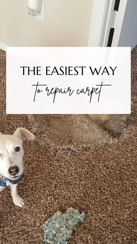 Carpet Patch Repair, Diy Carpet Repair, How To Fix Carpet Torn Up By Dogs, How To Patch Carpet, Carpet Repair, Diy Projects For Men, Diy Remedies, Diy Carpet, Simple Life Hacks