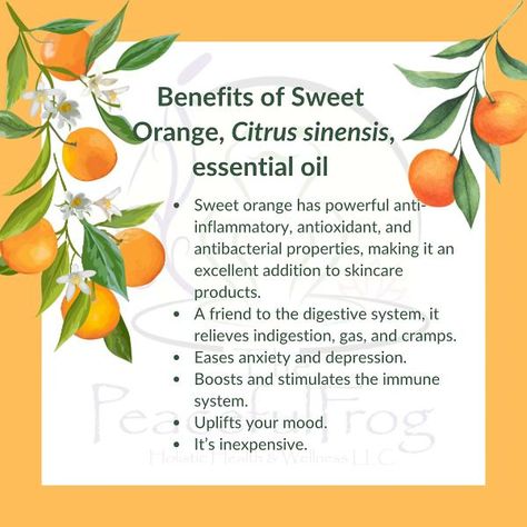 Sweet orange is one of my favorite essential oils. It’s often referred to as the ‘Happy Oil’. #sweetorangeessentialoil #sweetorange #essentialoils #benefitsofessentialoils #holistic #holistichealth #holistichealing #aromatherapy #aromatherapist #thepeacefulfrog Sweet Orange Essential Oil, Citrus Sinensis, Essential Oil Benefits, Orange Essential Oil, Sweet Orange, Holistic Healing, Digestive System, Holistic Health, The Happy