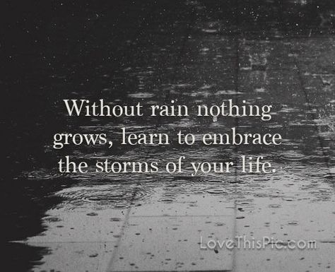 Without rain  quotes quote life inspirational wisdom lesson Rain Quotes, Quotes Family, Life Quotes Love, Insightful Quotes, Family Quotes, In The Rain, Beautiful Quotes, The Words, Great Quotes