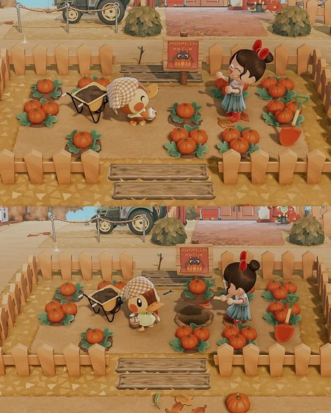 Animal Crossing Fall Pattern, Pumpkin Patch Acnh Ideas, Acnh Island Designs Autumn, Animal Crossing Fall Designs, Animal Crossing Cozy Island, Nooks Cranny Ideas Cottagecore, Fall Animal Crossing Ideas, Acnh Pumpkin Patch Ideas, Acnh Fall Design Codes