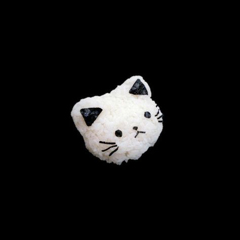 White Cat, Black Background, A Black, Rice, Wattpad, White, Black