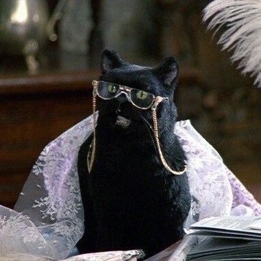 Sabrina Cat, Salem Saberhagen, Salem Cat, Golden Girls Quotes, Sabrina The Teenage Witch, Soul Friend, Tv Character, Wearing Glasses, Cat Posters