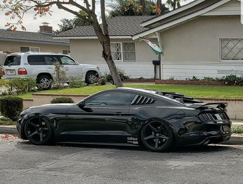 Cool Cars Black, Blacked Out Mustang, Modified Mustang, Ecoboost Mustang, Black Ford Mustang, Black Mustang Gt, Mustang Car Aesthetic, Blacked Out Cars, 2023 Ford Mustang