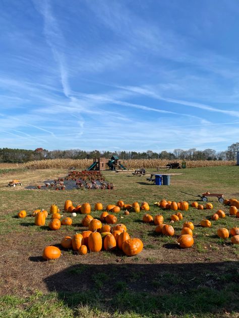 Visit an apple orchard or pumpkin patch this fall 🎃🍎🍂 Fall Activity, Pumpkin Season, Apple Orchard, Pumpkin Seasoning, Fall Pictures, Autumn Activities, Pumpkin Patch