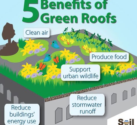 Discover the numerous advantages of green roofs, from energy savings to improved air quality. Dive into the benefits of green roofs now! - #advantagesofgreenroofs #benefitsoflivingroofs #gainsofgreenroofs #meritsofeco-roofs #perksofgreenroofs #plusesofrooftopgardens #positiveaspectsofgreenroofs #profitsofgreenroofs #strengthsofgreenroofs #upsidesofvegetatedroofs Flat Roof Waterproofing, Green Roof Benefits, Eco Roof, Green Roof House, Green Roof Building, Roof Waterproofing, Stormwater Management, Urban Heat Island, Membrane Roof