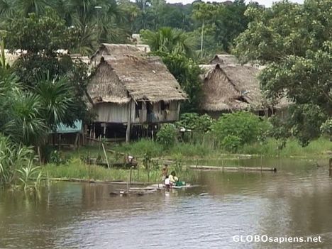 Visit a village along the Amazon Rainforest Village, Grand Theft Auto 3, Rainforest Art, Character Vibes, Conservation Of Natural Resources, Amazon River, Natural Resources, Peru, Art Inspo