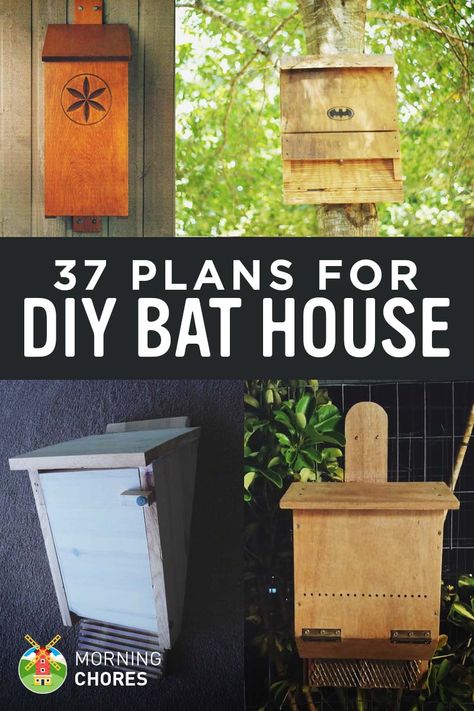 Traditional Birdhouse, Bat House Plans, Bat Box, Bat House, Bird House Plans, Bird House Kits, Natural Pest Control, Garden Pest Control, Astuces Diy