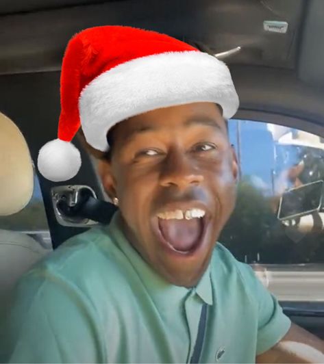 Christmas Pfp Tyler The Creator, Rappers With Christmas Hats, Tyler The Creator Grinch, Tyler The Creator Christmas Pfp, Christmas Tyler The Creator, Tyler The Creator Sleeping, Tyler The Creator Christmas, Christmas Pfp Funny, Funny Christmas Pfp