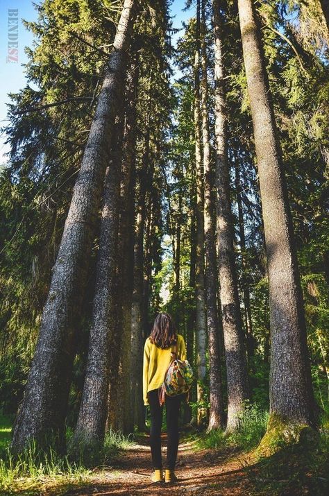 Poses With Trees, Hiking Poses, Photography Camp, Mode Poses, Travel Pose, Hiking Photography, Hiking Pictures, Portrait Photography Poses, Foto Poses