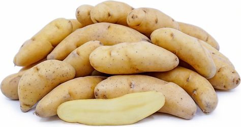 Russian Banana Fingerling Potatoes Information and Facts Potato Images, Choy Sum, Bell Pepper Recipes, Artichoke Recipes, Good Roasts, Fingerling Potatoes, Berries Recipes, Asparagus Recipe, Organic Seeds