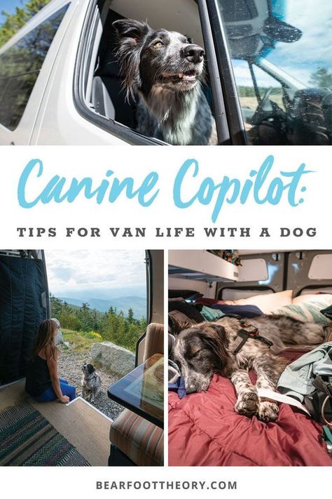 Wondering what van life with a dog is like? Here is my best advice for taking care of your pup & finding dog-friendly activities while living on the road. Vanlife With A Dog, Life With A Dog, Tips For Life, Road Trip With Dog, Campervan Ideas, Van Travel, Camping Diy, Dog Advice, Car Life