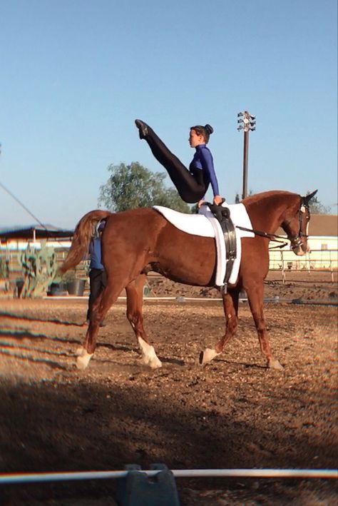 Equestrian Vaulting, Vaulting Equestrian, Horse Yoga, Horse Vaulting, Equestrian Horses, Chopova Lowena, Trick Riding, Theatre Life, Equestrian Life