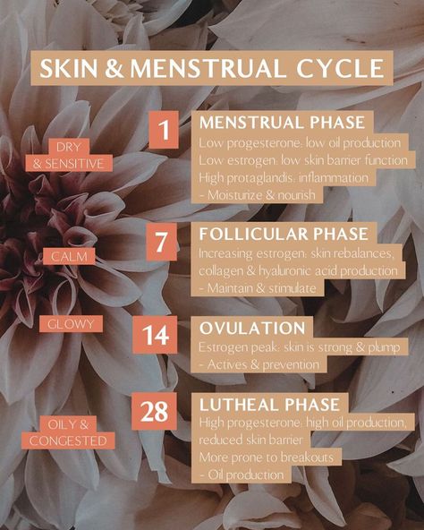 28 Day Cycle Period, Menstrual Cycle Skin Care, Moon Syncing, 28 Day Cycle, Cycle Nutrition, Feminine Cycle, Skin Cycling Routine, Skincare Consultation, Cycle Tracking