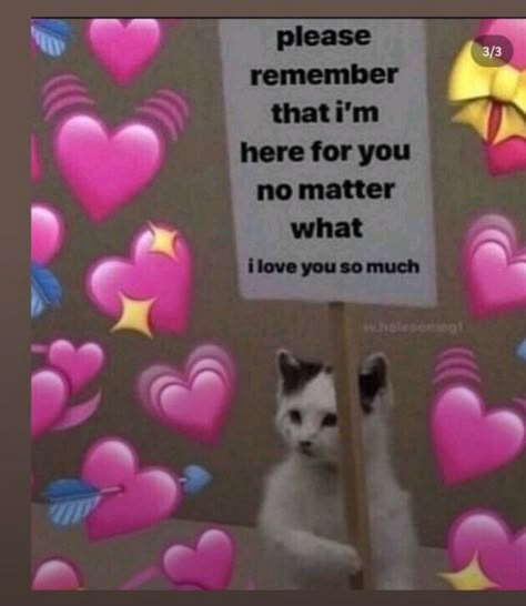 Love You Meme, Cute Cat Memes, Cute Love Memes, Love My Girlfriend, Cute Texts For Him, Pinterest Memes, I Love My Girlfriend, Cute Messages, Love My Boyfriend