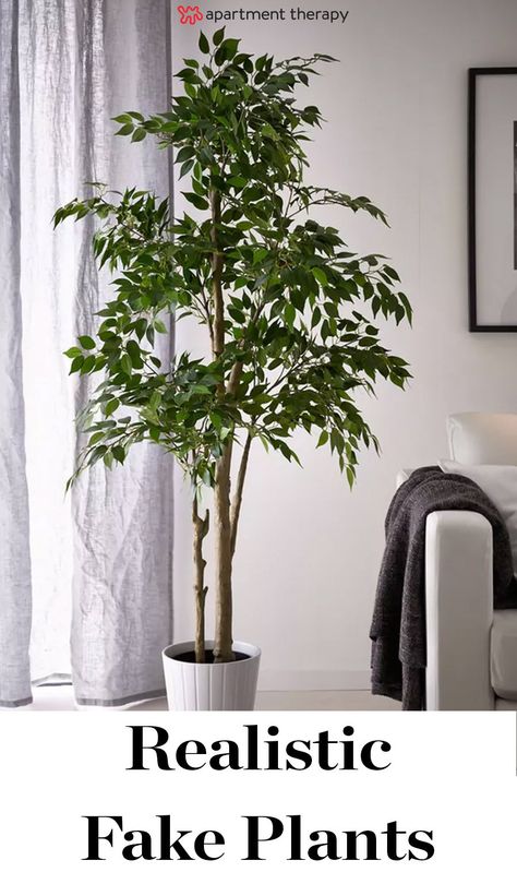 A Very Real Guide to Buying Very Fake Plants | A major benefit to plastic plants, though, is that many of the trendy house plants in modern home décor kind of look plastic to begin with. Silk plants are also much more prone to wear-and-tear than fake plants. It's a dead giveaway you've got a faux fern on your hands when its leaves are frayed or bleached out by the sun. Artificial House Plants Home Decor, Artificial Trees Indoor Decor, Artificial Plants Indoor Decor, Best Fake Plants, Rockstar House, Best Artificial Plants, Best Indoor Trees, Artificial Plant Arrangements, Weeping Fig