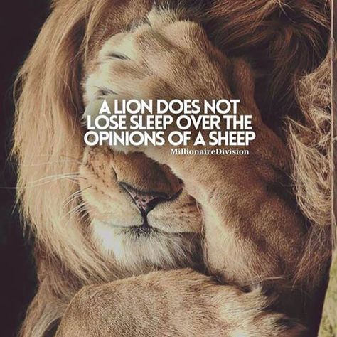 30 Motivational Lion Quotes In Pictures - Courage & Strength Lion Totem, Fit Quotes, Mind Journal, Lion Quotes, Leo Traits, Motivational Inspirational Quotes, King Quotes, Video Motivation, Lion Pictures