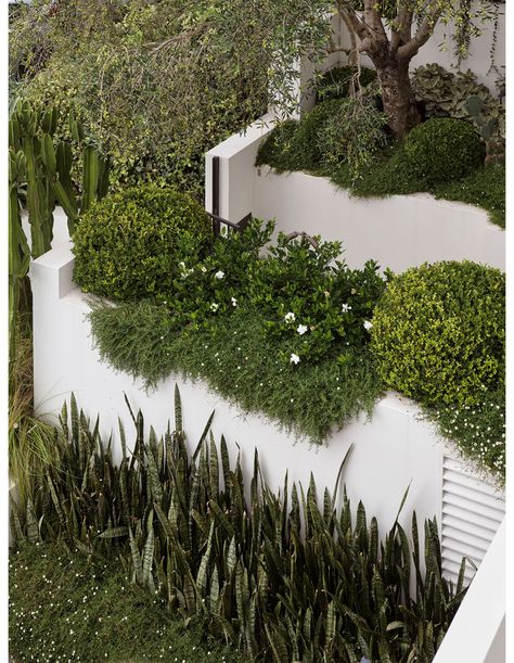 Stair Landscape, Oasis Garden, Boulder House, Sydney Gardens, Greece Architecture, Pool Shade, Tiered Garden, Creative Landscape, Landscape Designer