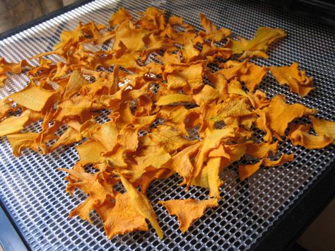 How to dry pumpkin efficiently and so you can use it year round How To Dry Pumpkins, Excalibur Dehydrator, Vacuum Sealing Food, Preserving Foods, Pumpkin Squash, Dried Food, Dehydrated Food, Quiche Recipes, Food Preservation