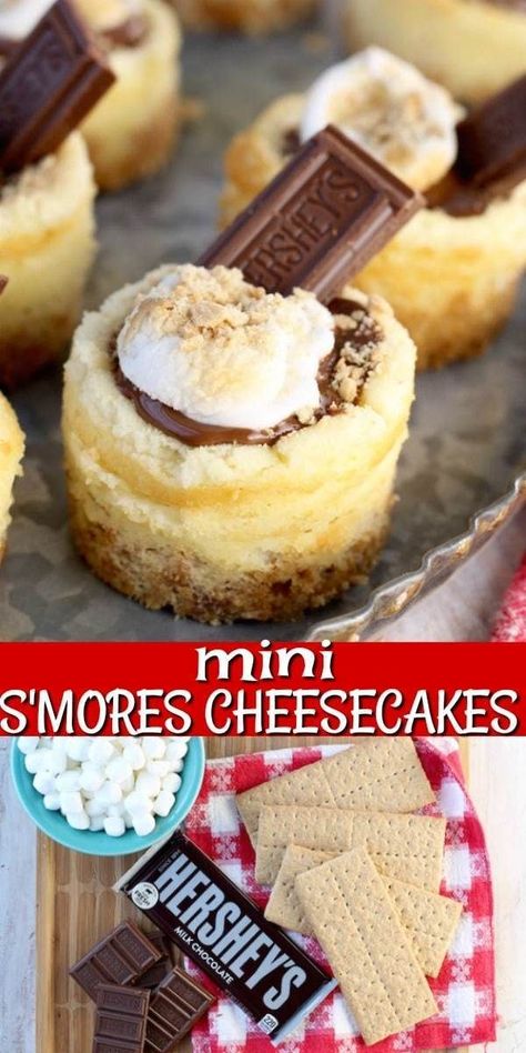 Smores Cheesecake, Bbq Desserts, Best Cheesecake, Easy Cheesecake, S'mores, Mini Cheesecakes, Summer Dessert, Party Desserts, Easy Dessert