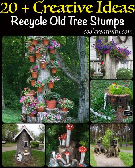 These 20+ Recycle Old Tree Stump Ideas are great ways to create gorgeous centerpieces that add unconventional flare to outside or even inside the home. Old Tree Stump Ideas, Tree Stump Ideas, Tree Stump Decor, Stump Ideas, Trunk Ideas, Tree Stumps, Ash Tree, Diy Tree, Easy Backyard