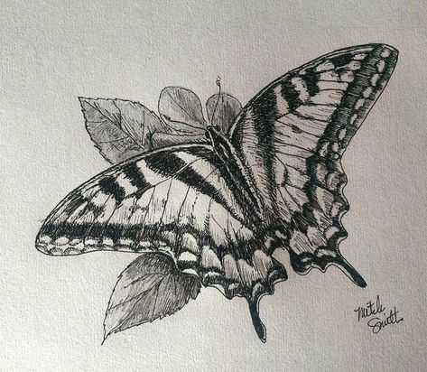 Animal Biro Drawing, Tiger Swallowtail Butterfly Drawing, Tiger Swallowtail Tattoo, Biro Butterflies, Butterfly Ink Drawing, Tiger Swallowtail Butterfly Tattoo, Butterfly Pen Drawing, Swallowtail Tattoo, Water Paints