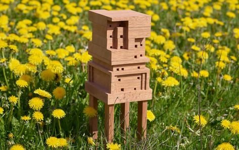 Bee Home, Backyard Bee, Solitary Bees, Climbing Hydrangea, Bee House, Open Source Projects, Duplex House, Decorative Planters, Backyard Projects