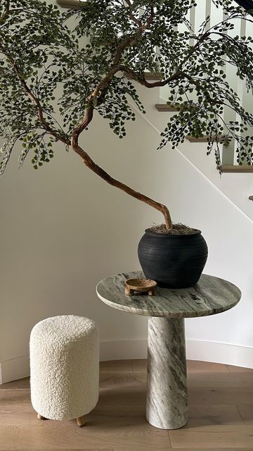 Wabi Sabi Entryway, Plant Garden Ideas, Indoor Plant Garden, Plant Interior, Wall Decor Green, Plants Interior, Individual Space, Organic Home, Timeless Interiors