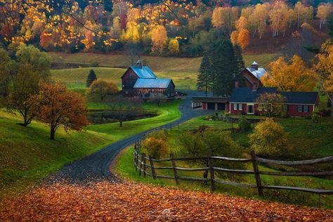 Toby Mcguire, Vermont Photography, Vermont Art, Vermont Farms, Woodstock Vermont, Farm Photography, Fall Wall Decor, Farm Photo, Farm Art