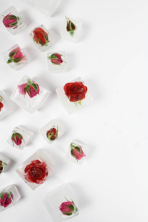 Rose Ice Cubes Rose Ice Cubes, Fancy Ice Cubes, Floral Ice Cubes, Flower Ice Cubes, Flavored Ice Cubes, Fancy Ice, Diy Sprinkles, Edible Flowers Recipes, Floral Ice