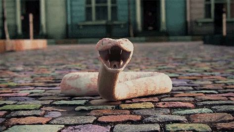 Taylor Swift Snake, Snake Gif, Taylor Swift Music Videos, Taylor Swift New, Pink Snake, Taylor Swift Music, Taylor Swift Videos, Taylor Swift Wallpaper, Taylor Alison Swift