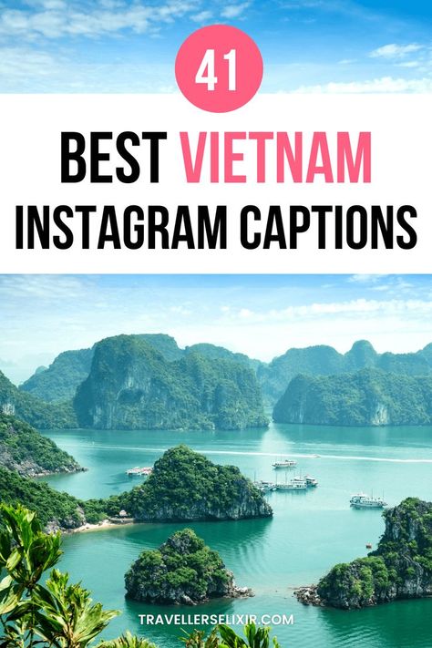 Best Vietnam Instagram captions & quotes Instagram Captions Cute, Nature Captions For Instagram, Vietnam Quote, Puns Quotes, Vietnam Vacation, Instagram Post Captions, Vacation Captions, Short Captions, Sunset Captions