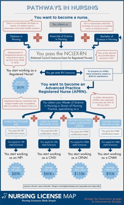 Pathways in Nursing (580 pixels) Nursing Infographic, Nursing School Scholarships, Nurse Practitioner School, Nursing School Prerequisites, Nursing License, Nurse Anesthetist, Best Nursing Schools, Becoming A Nurse, Nursing School Tips