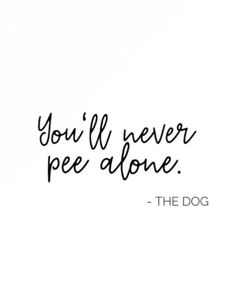 Buy It Quotes, Cute Dog Quotes Short, Funny Dog Mom Quotes, Dog Quotes Short, Short Dog Quotes, Funny Dog Quotes, Doggy Quotes, Dog Mom Quotes, Puppy Quotes