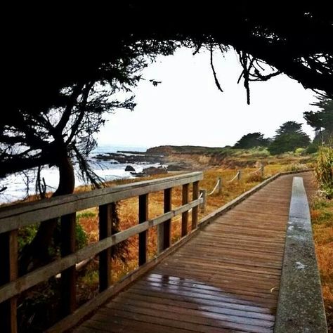 Cambria Cambria California, California Dreaming, California Coast, California Homes, San Luis Obispo, California State, The Ocean, Moonstone, Places To Go