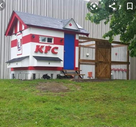 Chicken Coops That Look Like KFC Restaurants Are Cluckin' Hilarious Woodworking Images, Cheap Chicken Coops, Kfc Chicken, Coop Design, Best Chicken Coop, Chicken Coop Designs, Mosaic Bathroom, Coop Plans, Building A Chicken Coop