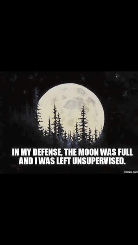 In my defense, the moon was full and I was left unsupervised. Full Moon Quotes, Round Paint Brush, Moon Made, Moon Quotes, Bob Ross Paintings, Moon Dance, Stay Wild Moon Child, Sun Moon Stars, County Fair