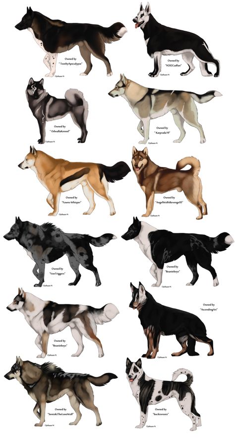 Šunys ir šuniukai😍😍😍 Drawings Of Wolves, Dog Drawing Reference, Fantasy Dog, Dogs Drawing, Dog Drawings, 강아지 그림, Canine Art, Chi Chi London, Types Of Dogs