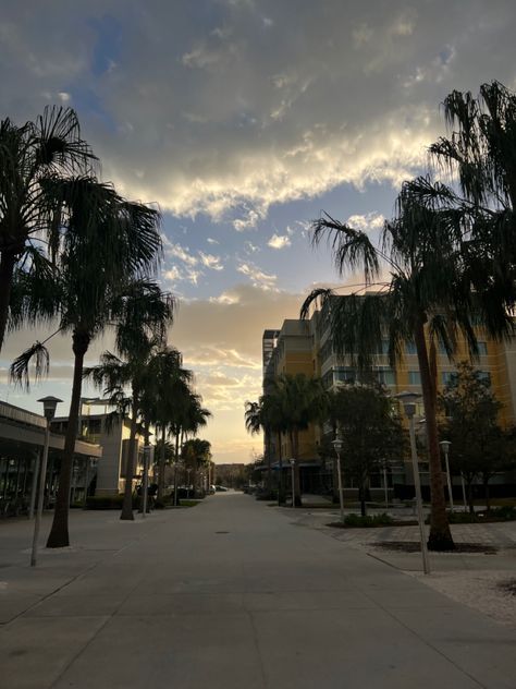 usf Florida University Aesthetic, Usf Aesthetic, Life Visualization, Florida Gulf Coast University, Nova Southeastern University, Usf Bulls, University Of Tampa, Colleges In Florida, College Ideas