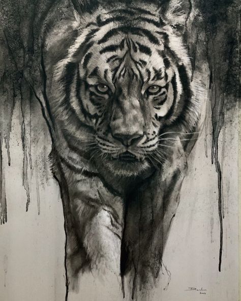 Daniel Wilson on Instagram: “Not done one of these charcoal drawings for a while so i thought I do one in my current theme of tigers. What do you prefer the coloured…” Drawings On Paper, The Predator, Brothers In Arms, Charcoal Drawings, Tiger Art, Wildlife Artists, Graphite Drawings, Gentle Giant, Charcoal Drawing