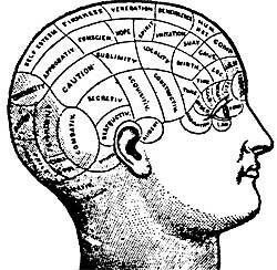 "Phrenology" from All the Light We Cannot See by Anthony Doerr, a pseudomedicine,  Phrenology focuses on personality and character, is distinct from craniometry, which is the study of skull size, weight and shape, and physiognomy, the study of facial features. Psychology A Level, Learning Maps, Psychology Courses, Indie Publishing, English Skills, Drawing Heads, Magical Thinking, 3 Characters, Research Methods